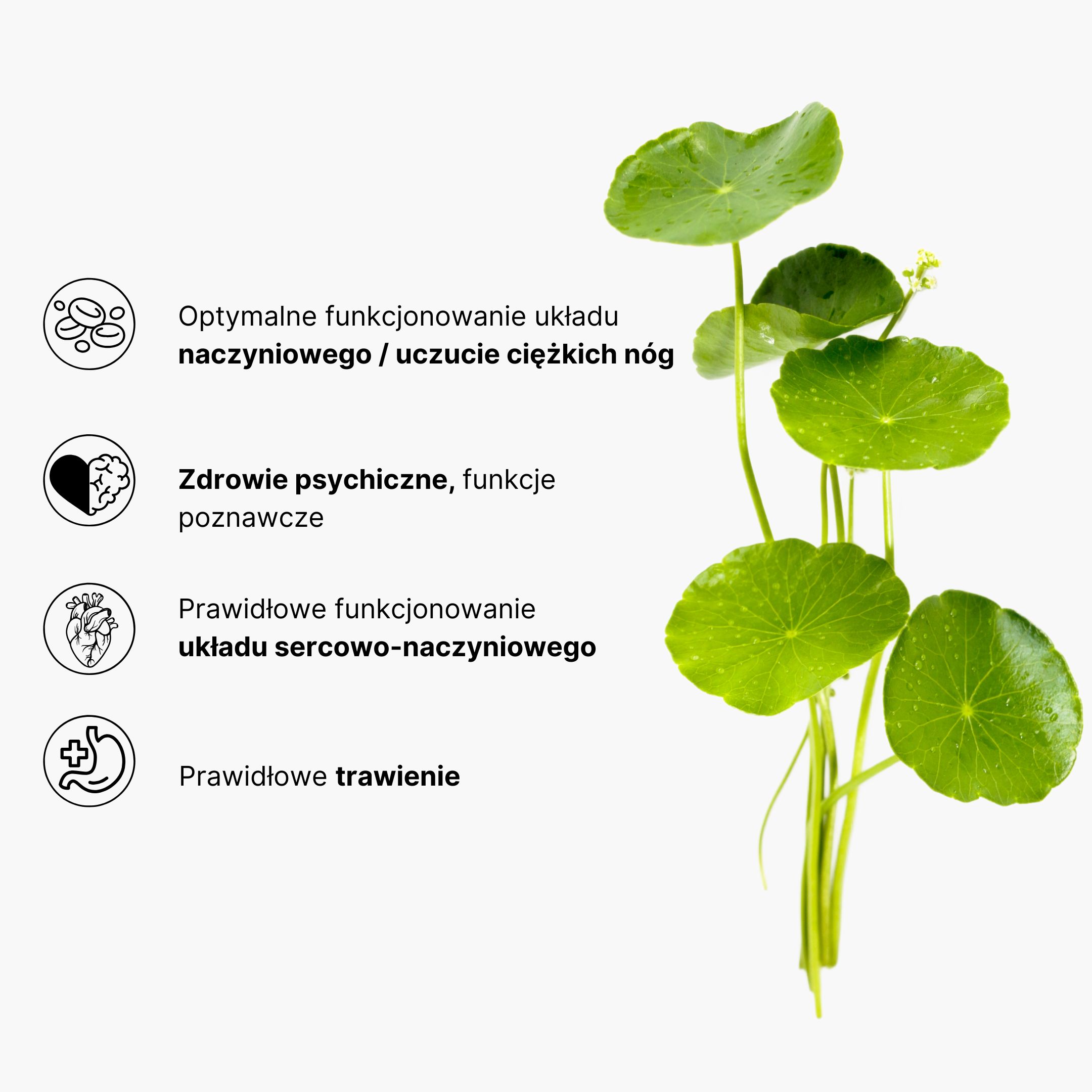 (Polština) Magnesium ve spreji (4)